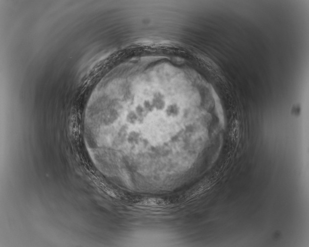 X0000115380966200912011201