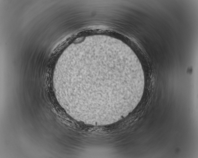 X0000115380967200912011201