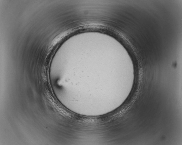 X0000115380970200912011201