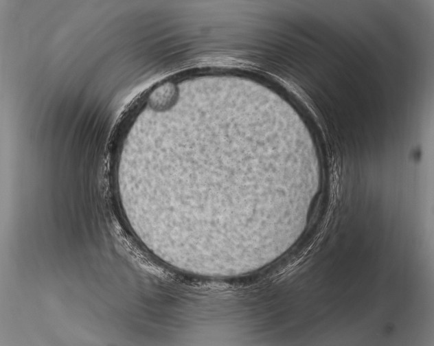 X0000115380971200912011201