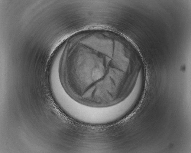 X0000115380973200912011201