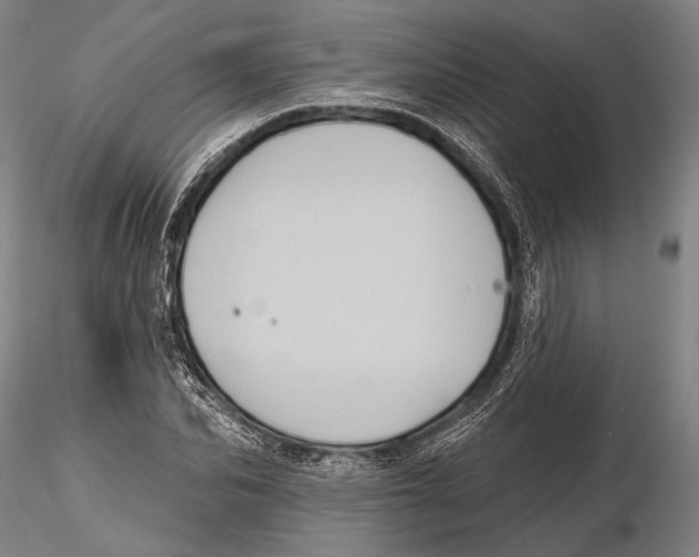 X0000115380974200912011201