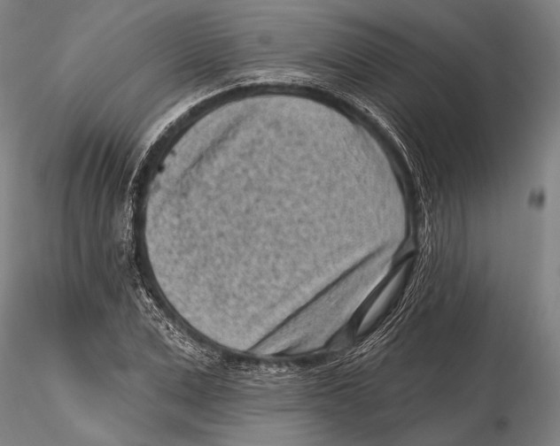 X0000115380975200912011201