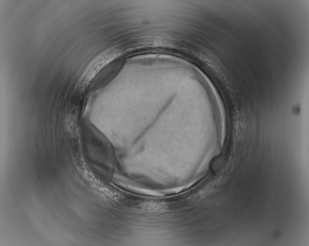 X0000115380977200912011201