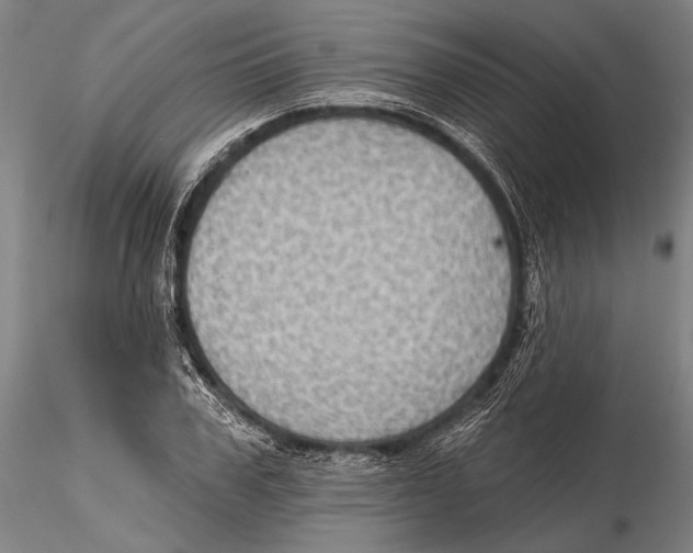 X0000115380979200912011201