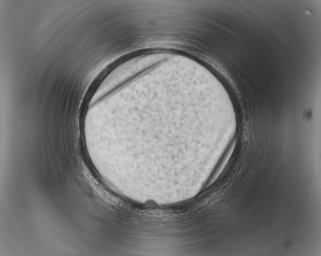 X0000115380980200912011201