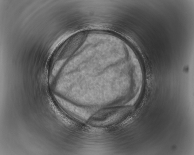 X0000115380981200912011201