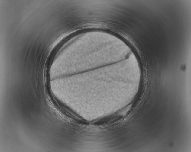 X0000115380983200912011201