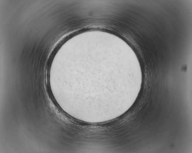 X0000115380984200912011201