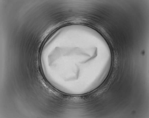 X0000115380986200912011201