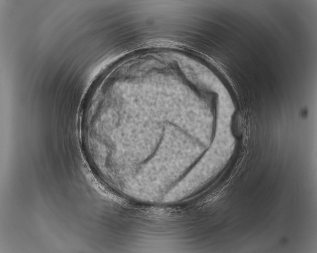 X0000115380987200912011201