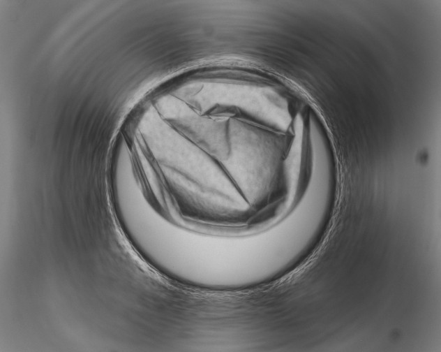 X0000115380989200912011201