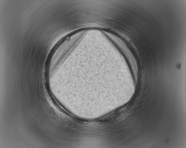 X0000115380991200912011201