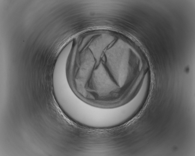 X0000115380993200912011201