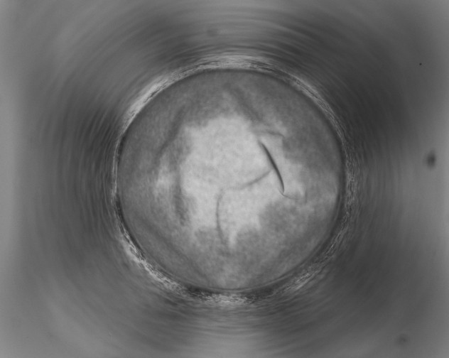 X0000115380994200912011201