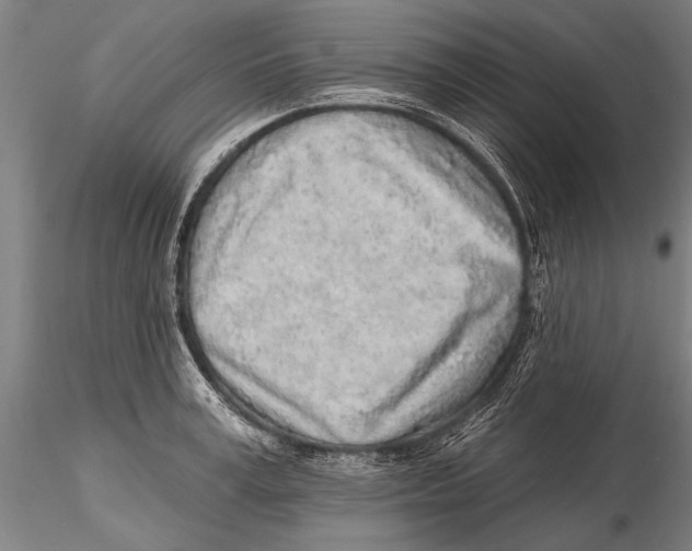 X0000115380995200912011201