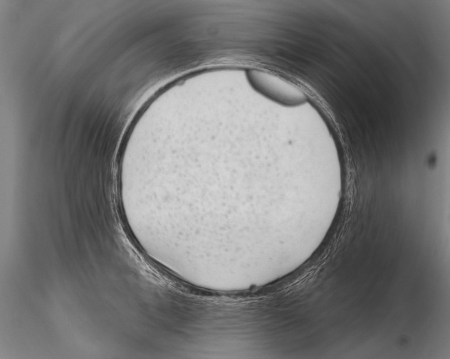 X0000115380996200912011201