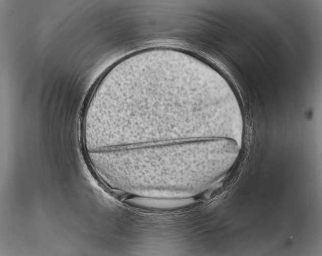 X0000115380999200912011201