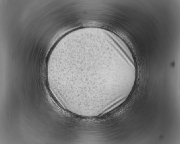 X0000115381000200912011201