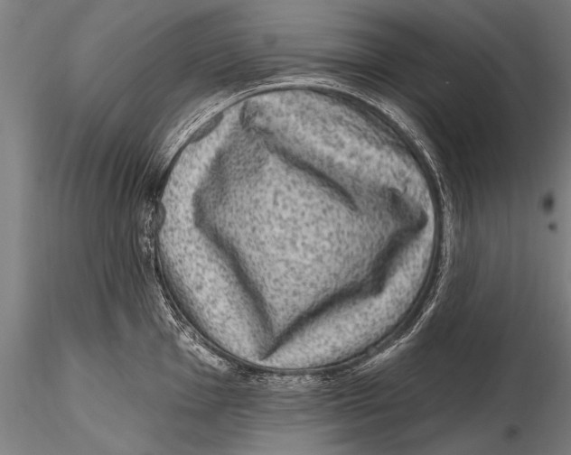 X0000115381001200912011201