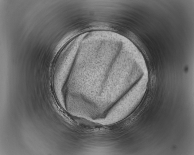 X0000115381002200912011201