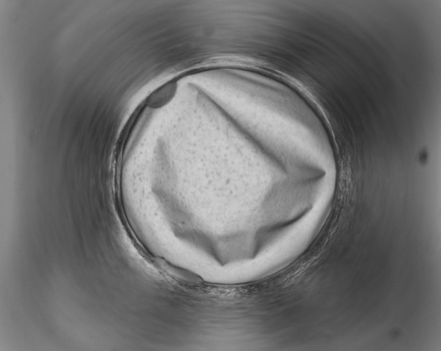 X0000115381003200912011201