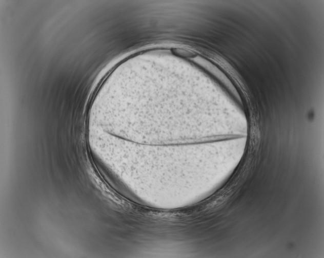 X0000115381004200912011201