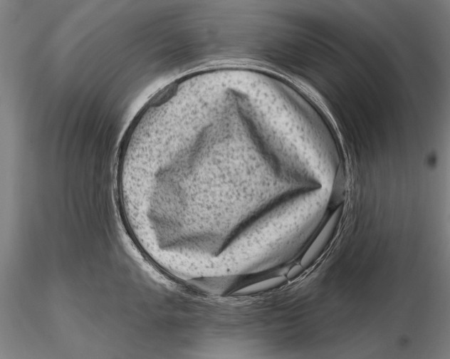 X0000115381005200912011201