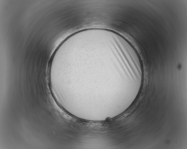 X0000115381006200912011201