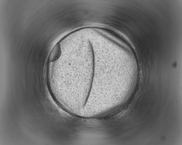 X0000115381007200912011201