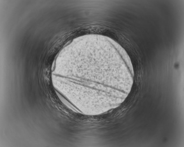 X0000115381010200912011200