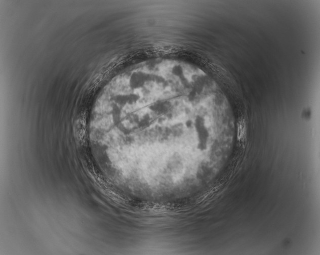 X0000115381011200912011200