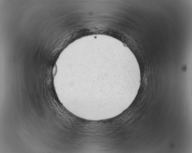 X0000115381012200912011200