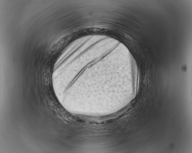 X0000115381014200912011200