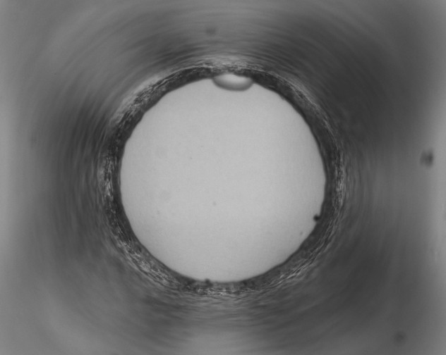 X0000115381016200912011200