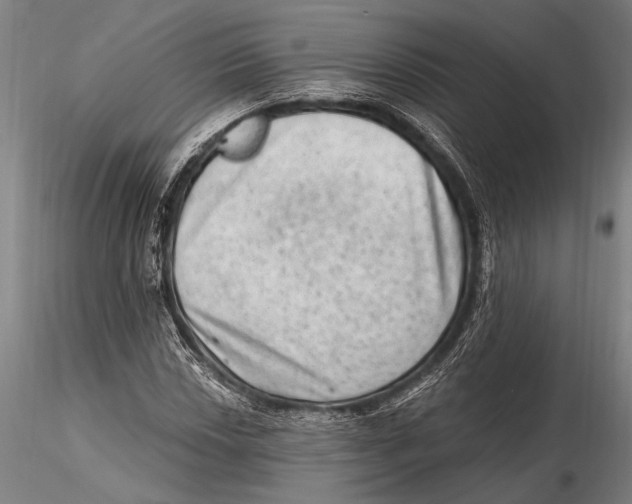 X0000115381018200912011200