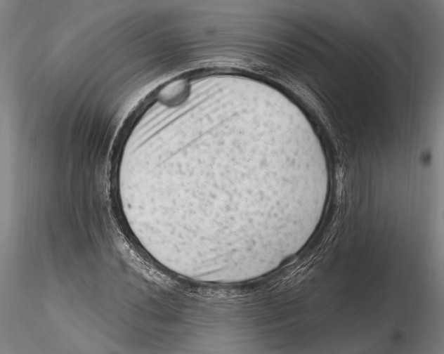 X0000115381020200912011200