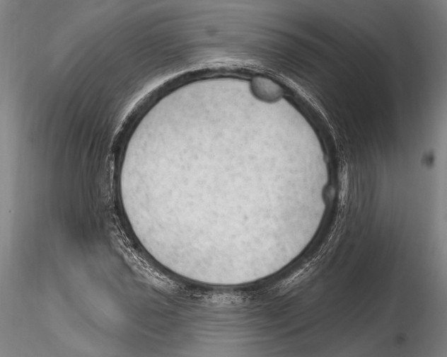 X0000115381021200912011200