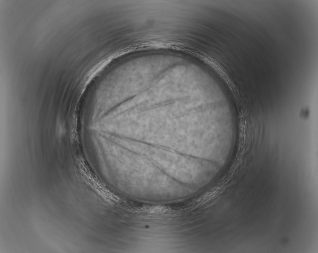 X0000115381023200912011200