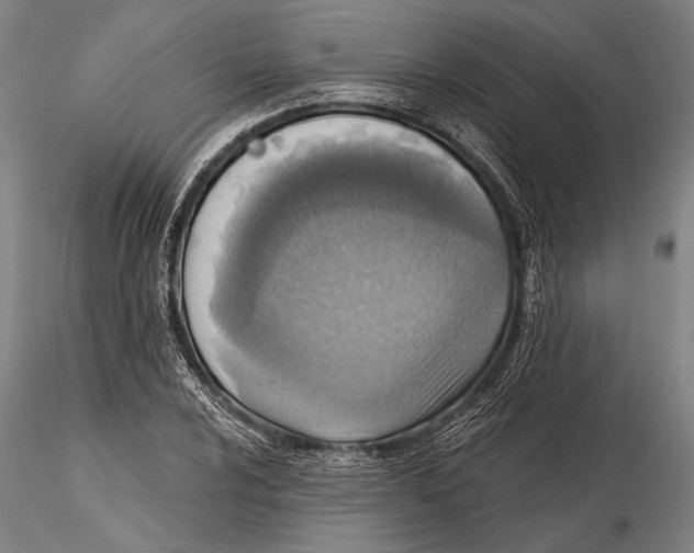 X0000115381024200912011200