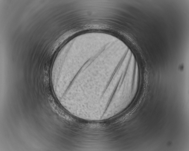 X0000115381025200912011200