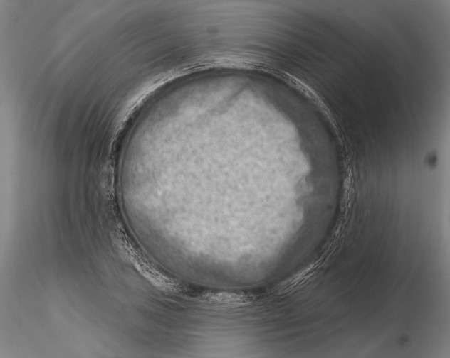 X0000115381027200912011200