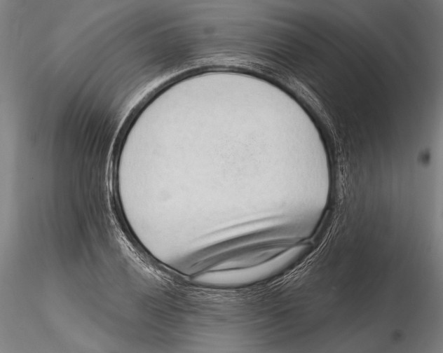 X0000115381028200912011200