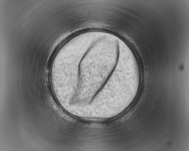 X0000115381029200912011200