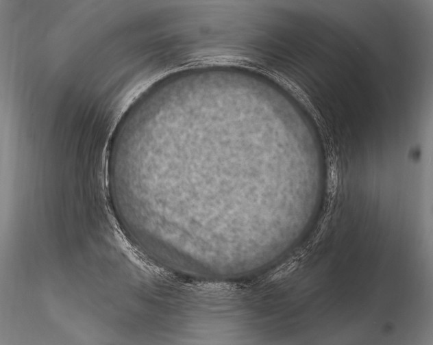 X0000115381031200912011200