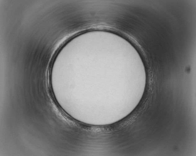 X0000115381032200912011200