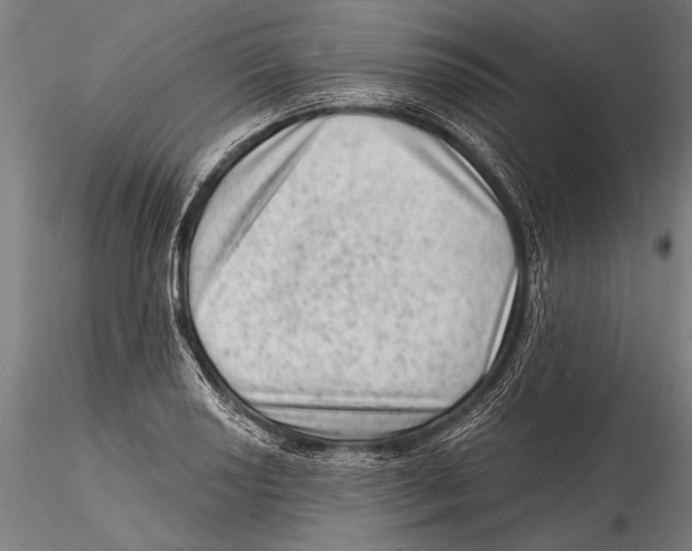 X0000115381034200912011200