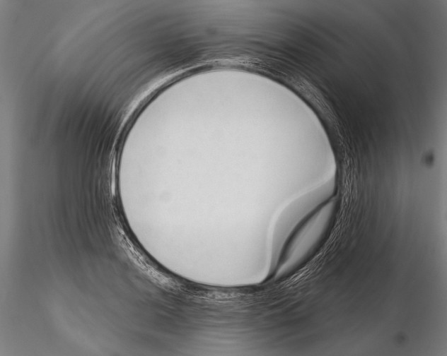 X0000115381036200912011200