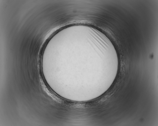 X0000115381038200912011200