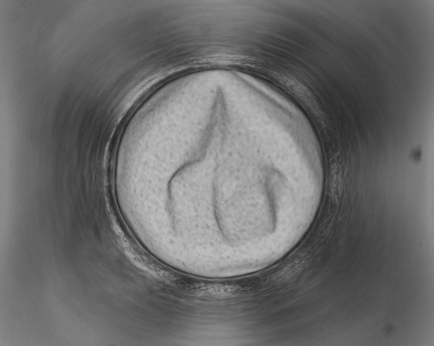 X0000115381039200912011200